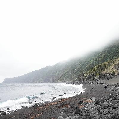 Aflevering 57: Flora van Macaronesië Aflevering 57: Flora van Macaronesië