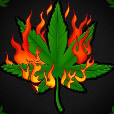 A 420 holiday special.