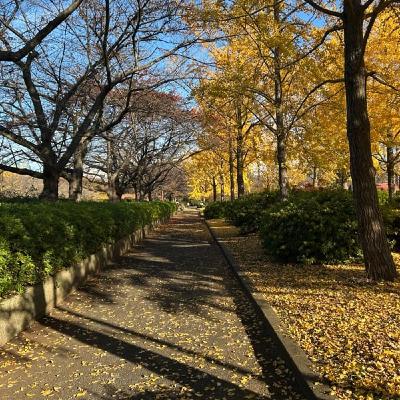 明日のハーフマラソンが若干、憂鬱ですw 明日のハーフマラソンが若干、憂鬱ですw