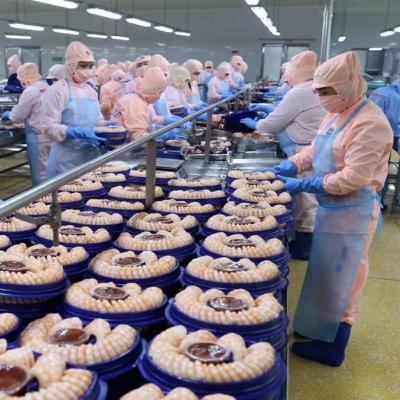 Shrimp exports forecast to rise by 15% in 2024