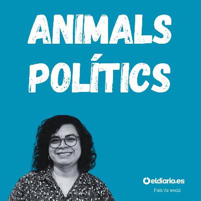Ep. 21 - Cap persona és il·legal
