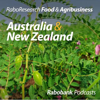 Global pulse outlook: Navigating the shifting pulse market