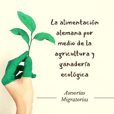 La alimentación alemana por medio de la agricultura y ganadería ecológica