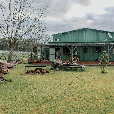 Summer Transplanting: Tips and Challenges