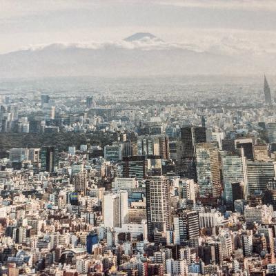 考公？牛马？我们真的低欲望了吗？AI、银发时代工作何处找？日本公使聊日本的那些新变化