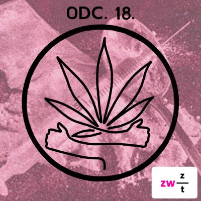 E18: Heroina, czym tak właściwie jest? E18: Heroina, czym tak właściwie jest?