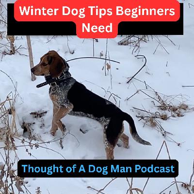 Cold Weather Dog Care: What Every New Dog Owner Should Know Cold Weather Dog Care: What Every New Dog Owner Should Know