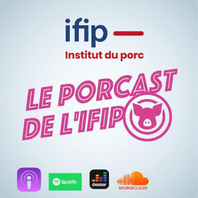 Les coûts de production des éleveurs de porcs à l'international en 2024 Les coûts de production des éleveurs de porcs à l'international en 2024