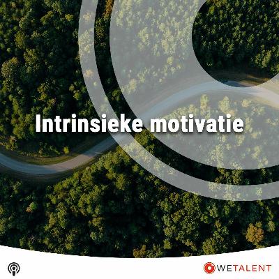 WETALENT - Podcast - Intrinsieke Motivatie WETALENT - Podcast - Intrinsieke Motivatie