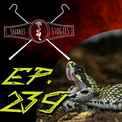 The Atheris Genus | Snakes & Stogies Ep. 239