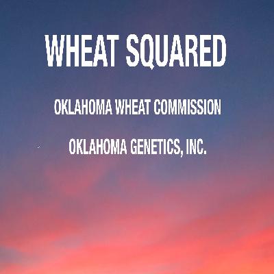 Wheat Squared Podcast 10/25/2019