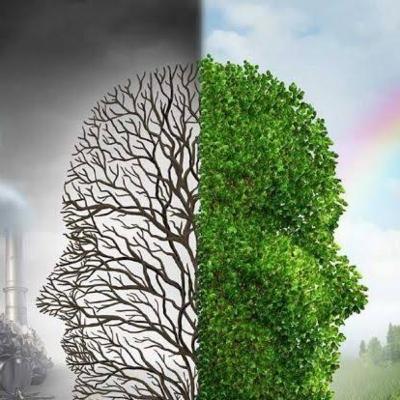 Medio Ambiente