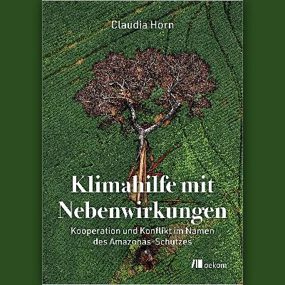 radio3 Klimagespräch: "Klimahilfe mit Nebenwirkungen" - was läuft falsch bei Klimaentwicklungshilfe? radio3 Klimagespräch: "Klimahilfe mit Nebenwirkungen" - was läuft falsch bei Klimaentwicklungshilfe?