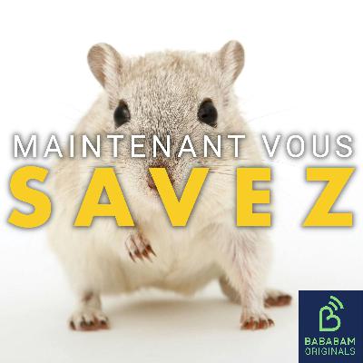 Les “hommes rongeurs” seraient-ils le nouvel idéal masculin ? Les “hommes rongeurs” seraient-ils le nouvel idéal masculin ?