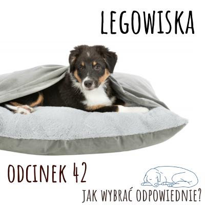 042 - Legowiska - jak wybrać odpowiednie?