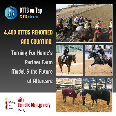 S2 E18: 4,400 OTTBs Rehomed and Counting! Turning For Home’s Partner Farm Model & the Future of Aftercare