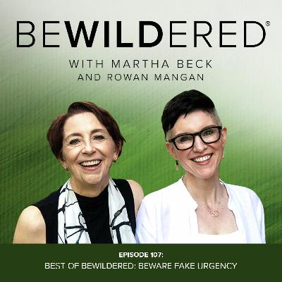 Best of Bewildered: Beware Fake Urgency