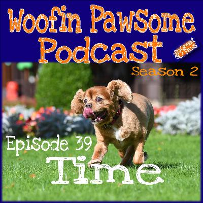 Time - Episode 39 Time - Episode 39