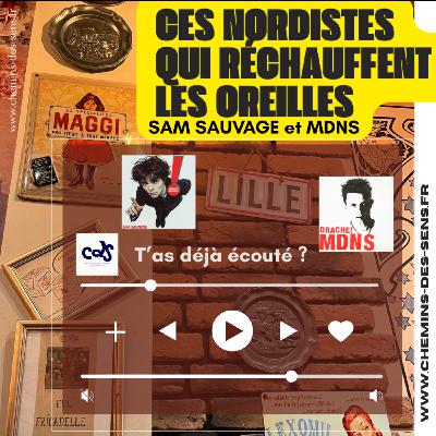 T'as déjà écouté Sam Sauvage et MDNS ?