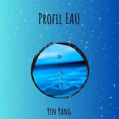 Profil énergétique EAU