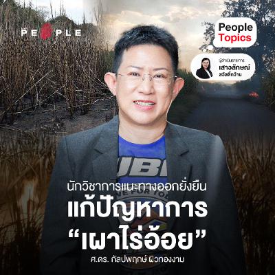 นักวิชาการแนะทางออกยั่งยืน  แก้ปัญหาการ“เผาไร่อ้อย” | People Topics