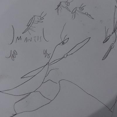 Mantis Soundtrack