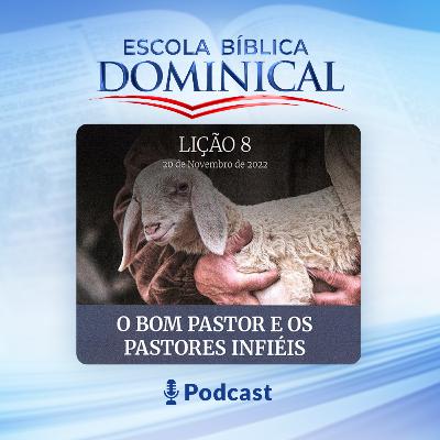08ª Lição: “O Bom Pastor e os Pastores Infiés” 08ª Lição: “O Bom Pastor e os Pastores Infiés”