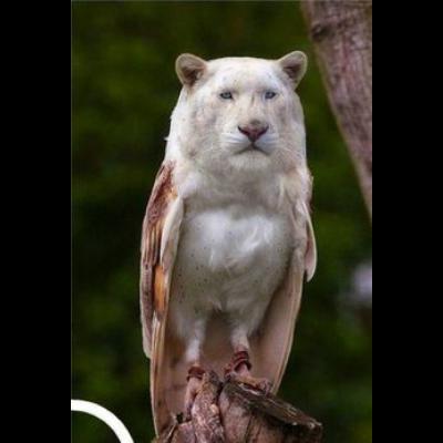 We had a helly of a good time!