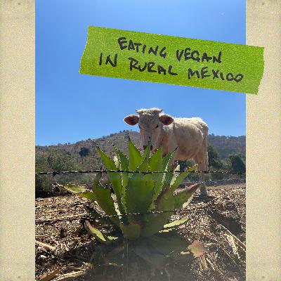 Eating vegan in rural Mexico