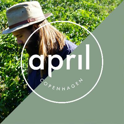 Hybrid Vigour and Resistant Coffee Varietals with Alejo Castro | Coffee with April - YouTube Content