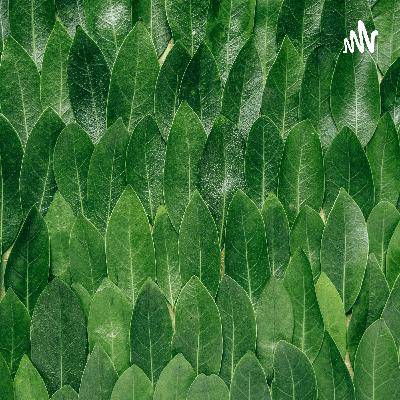 Tu actitud te restauea