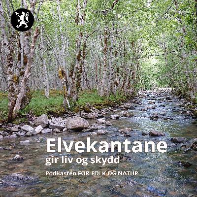 Elvekanten gir liv og skydd