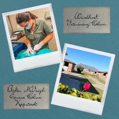 #39 Praktikum Namibia und Südafrika (Kleintier, Rind und Pferd) #39 Praktikum Namibia und Südafrika (Kleintier, Rind und Pferd)