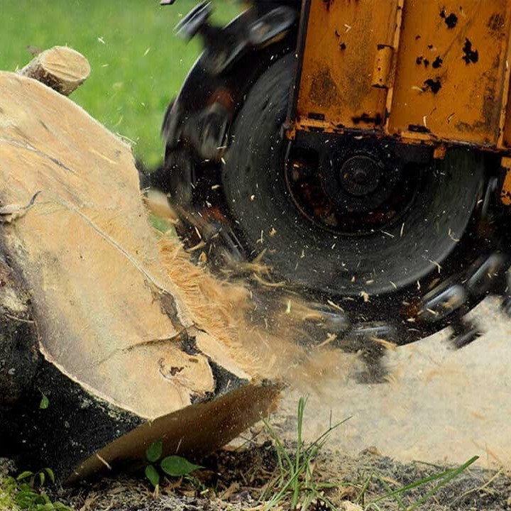 Stump Grinding And Removal Services In Oklahoma