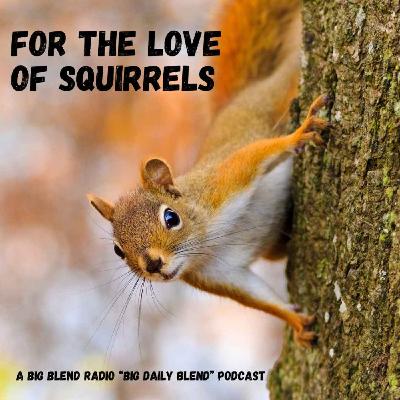 For the Love of Squirrels