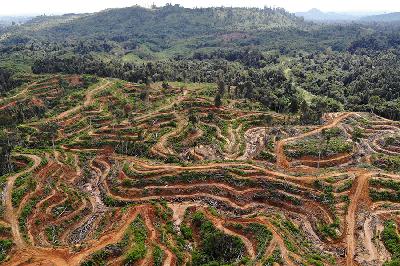 Mongabay Snaps: Eksploitasi Tanpa Rem, Catatan Bencana dan Konflik Sumber Daya Alam