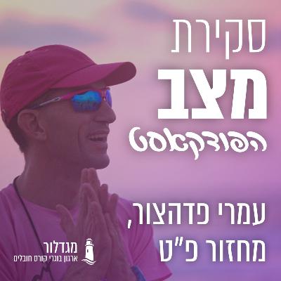 סקירת מצב - פרק 11 - עמרי פדהצור