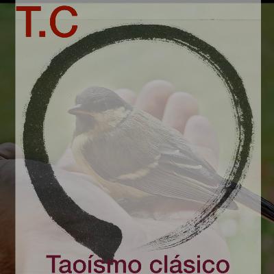 El espíritu. T:2. Capítulo 22