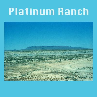 04 (Low-serotonin platinum, an MSN voice message)