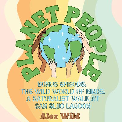 15. The Wild World of Birds: A Naturalist Walk at San Elijo Lagoon w/ Alex Wild (Part 2)