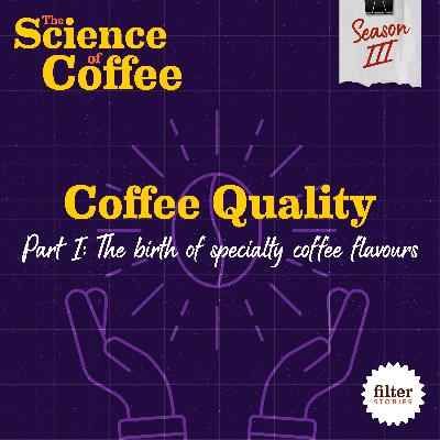 Coffee Quality, Part 1: The birth of specialty coffee flavours