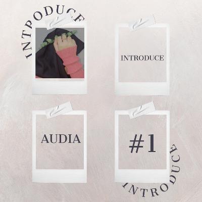 Introduce #1 by Audia
