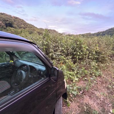 VOL.254「はぴいのおしゃべり交差点」パーソナリティ はぴいの一人語り
