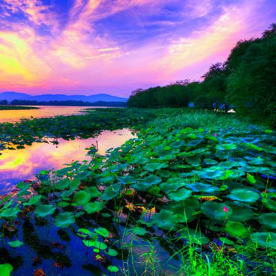 Sonidos de la Tarde Junto al Arroyo | 8 horas de Ruido Blanco para Estudiar también