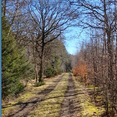 kennet andersen podcast nr 6 glæde ved livet dansk 27 nov 2023 nr 1021 kennet andersen podcast nr 6 glæde ved livet dansk 27 nov 2023 nr 1021