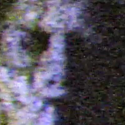 SCP-1919 │ Hotel of Duplicates │ Euclid │ Hostile/Hive-Mind SCP