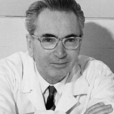 Víctor Emil Frank