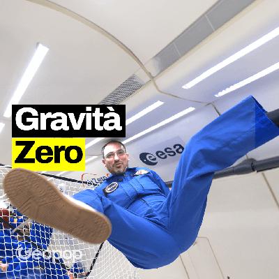 314 - Precipitare in aereo 31 volte in un giorno - esperimento zero G con ESA