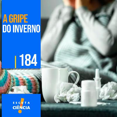 A gripe do inverno