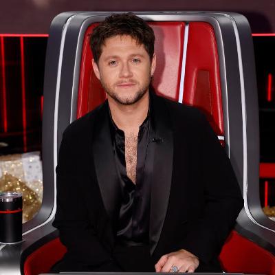 Niall Horan Speaks Out About a Major Reason Why He Won't Be on 'The Voice' Season 29